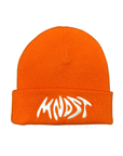 Mindwave Beanie